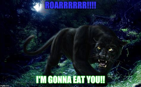 Badass Black Panther Meme By Itsh2k Memedroid Gambaran Vrogue