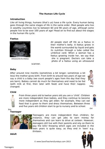 Human Life Cycle Ks2 Lesson Plan Explanation Text And Worksheet