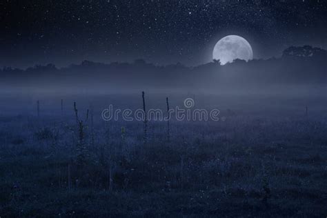 Night Sky With Stars And Moon Over Meadow Stock Image Image Of