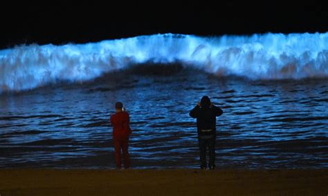 Bioluminescent Waves Dazzle Surfers In California Never Seen Anything