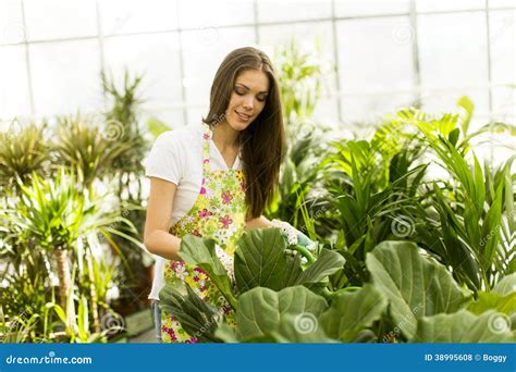 Young Woman In Flower Garden Stock Photo Image Of Botany Leisure
