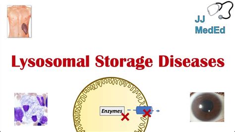 Lysosomal Storage Diseases Overview And What You Need To Know Youtube