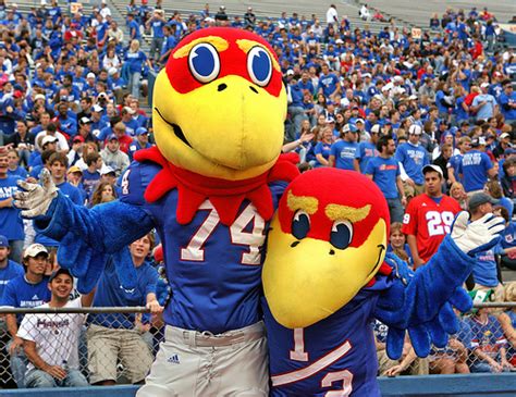 Kansas Football Mascot Big 12 Football Online