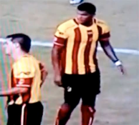 Soccer Fans Ruffled After Player Kicks Owl
