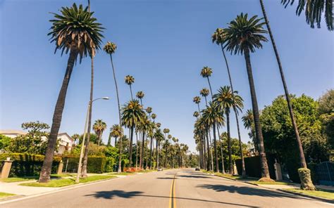 Beverly Hills Neighborhood Guide