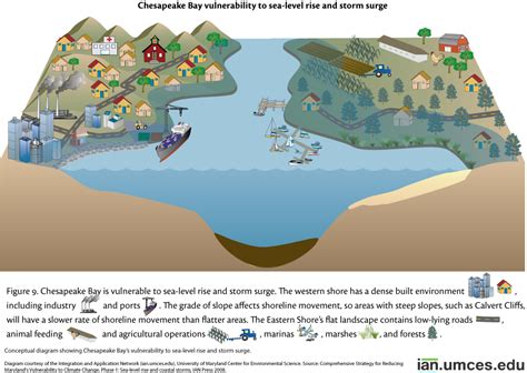 Vulnerability To Sea Level Rise Media Library Integration And