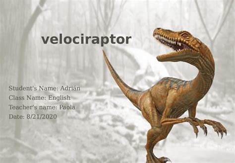 Calaméo Velociraptor