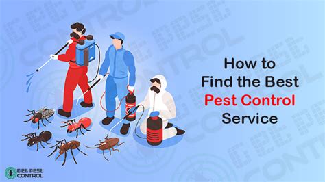 The Ultimate Guide On Finding The Best Pest Control Service