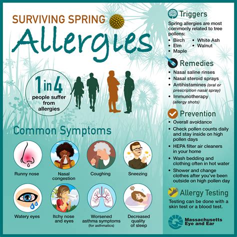 Spring Allergies Survival Guide Focus A Health Blog From Mass Eye