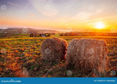 Spring Sunrise Landscape Stock Image Image Of Straw 77505279