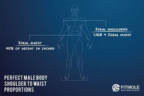 A Scientifically Proven Way To Build The Perfect Male Body Fitmole
