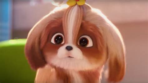 The Secret Life Of Pets 2 Meet Daisy In A New Character Teaser