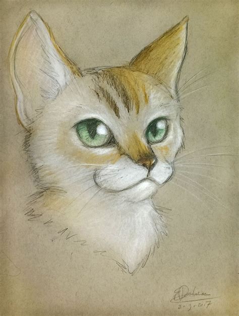 Pet Portrait Of A Cat Hand Madetraditional Art With Soft Pastels On