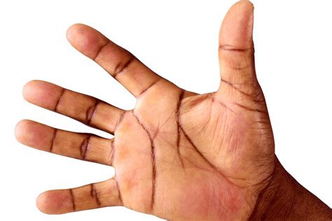 Understanding Palmistry The Art Of Palm Reading