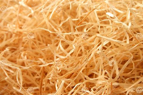 Wood Wool Stock Photo Image Of Wood Natural Wool Texture 731674