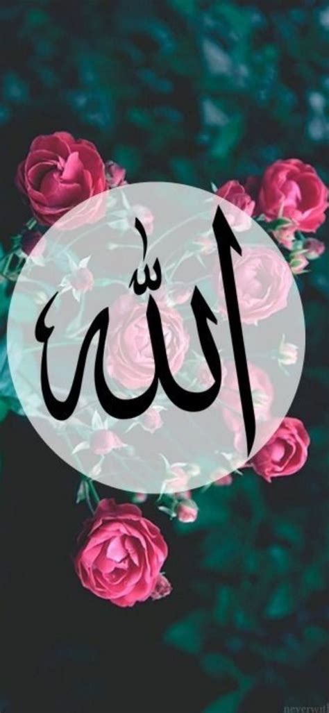 Wallpaper Flower Allah Names Love Wallpaper Rose Beautiful Allah