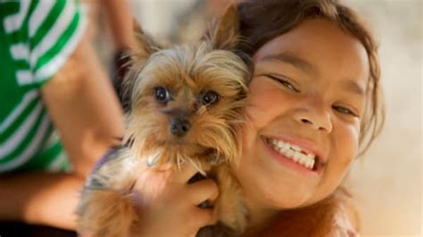 10 Small Dog Breeds That Are Great With Children