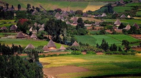 Beautiful Rural Village Of Oromia Ethiopia