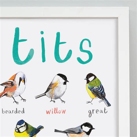Tits Illustrated Bird Art Print By Sarah Edmonds Illustration