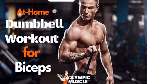 Dumbbell Workouts Biceps Igo Workout