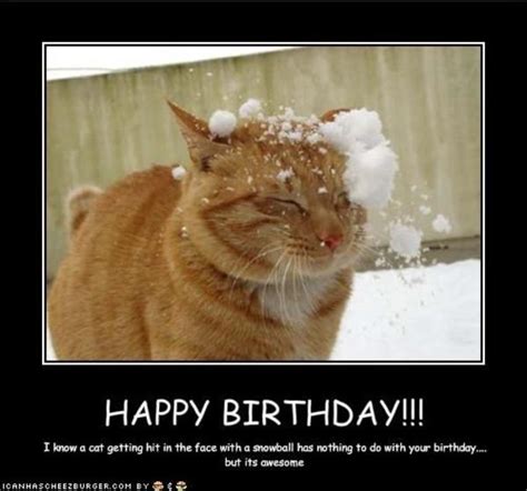 Happy Birthday Cat Meme Cats Know Your Meme