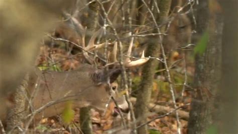 Deer Hunting Thermals And Access Tips For Hills And Whitetails Youtube