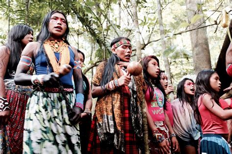 Amazon Fellowship Empower Indigenous Women Voices Of Amerikua