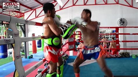 saenchai muay thai training camp highlights april 2016 at yokkao training center bangkok youtube