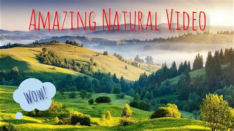Wow Amazing Natural Video With Natural Sounds Mind Relaxionstress