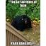 A Ridiculously Fat Bear Spotted In Simsbury Ct  Meme Guy
