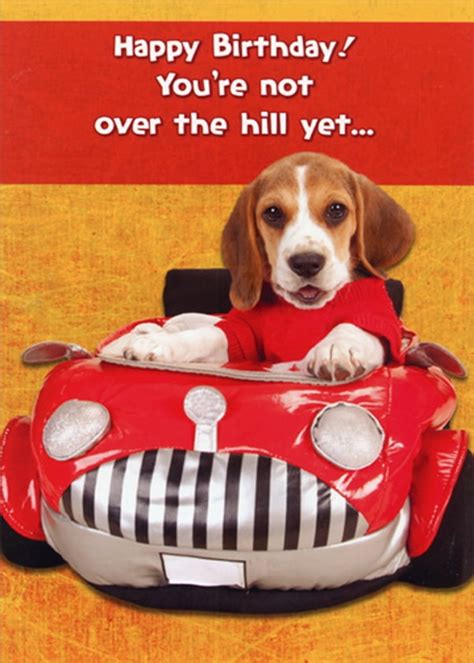 Designer Greetings Beagle In Red Stuffed Toy Car Funny Humorous Dog