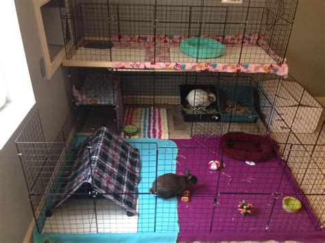 Two Floor Diy Rabbit Cage With Playpen Diy Rabbit Cage Bunny Cages