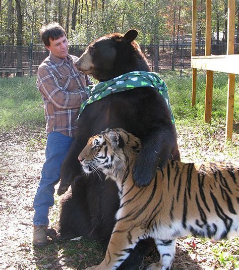 15 Of The Most Unusual Animal Friendships That Will Melt