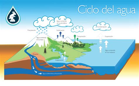 O Ciclo Da Auga Water Cycle Project Help Teaching Science