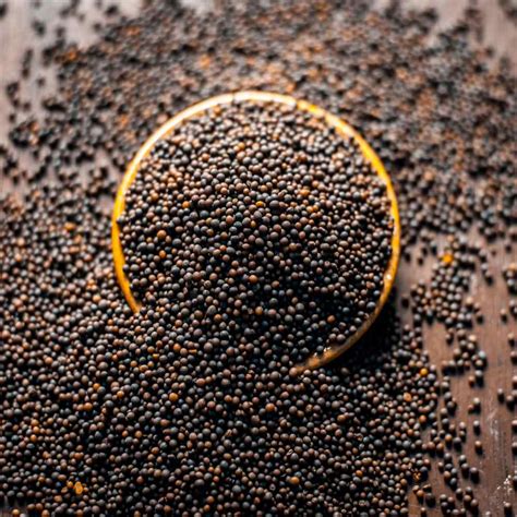 1kg Biji Sawi Mustard Seed Imported From India A1 Grade Shopee Malaysia