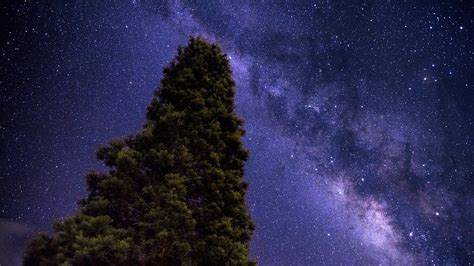 Starry Sky Milky Way Tree Stars Picture Photo Desktop Wallpaper