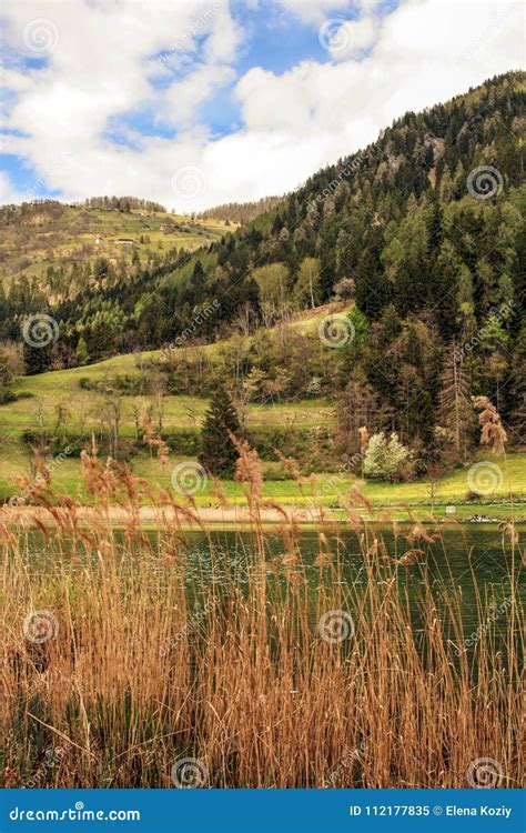 Mountains Landscape With The Lake And The Reeds In The Foreground