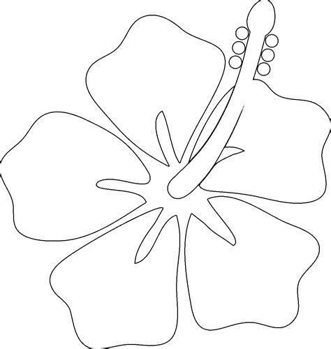 Hawaiian Flower Coloring Pages Coloring Pages