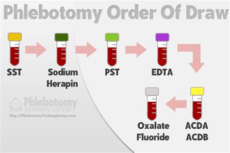 What Is Phlebotomy Order Of Draw Specimen Handling