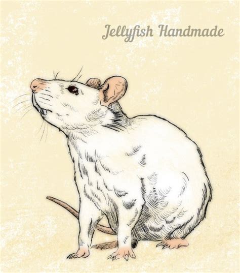 Instant Download White Rat Art Rat Painting Mouse Art Rat Etsy