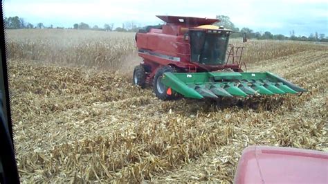 Farming Case Ih 2388 Combining Corn Mx255 Youtube