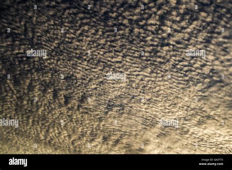 Cirrocumulus Clouds On The Sky Stock Photo Alamy