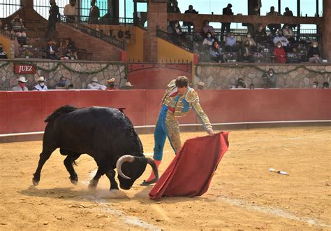 scjn invalidó que las corridas de toros y peleas de gallos sean patrimonio cultural pero no las