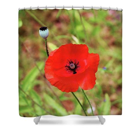 Vivid Red Poppy Shower Curtain For Sale By Cynthia Guinn Red Poppies