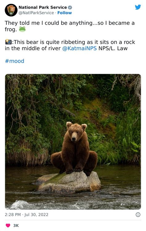 Funny National Park Service Twitter Social Media Pages Social Media