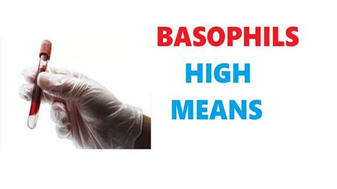 Basophils High In Blood Test Means Youtube