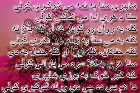 Nice Pashto Poetry Shaperai Stah Pah Tamah Me Shughirey Kawaley