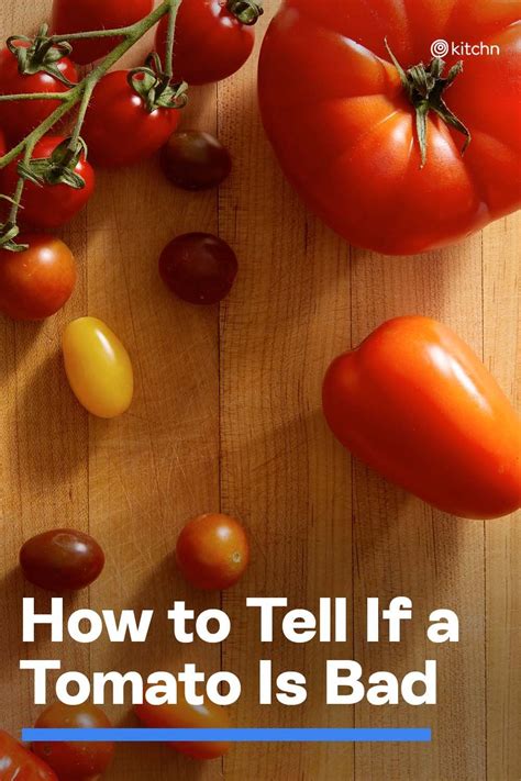 How To Tell If A Tomato Is Bad Tomato Cooking Tomatoes Summer Tomato