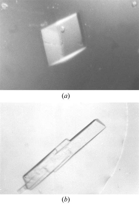 Iucr Crystallization And Preliminary X Ray Studies Of The Single