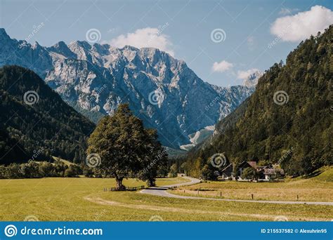 Beautiful Summer Alpine Landscape Logar Valley Or Logarska Dolina